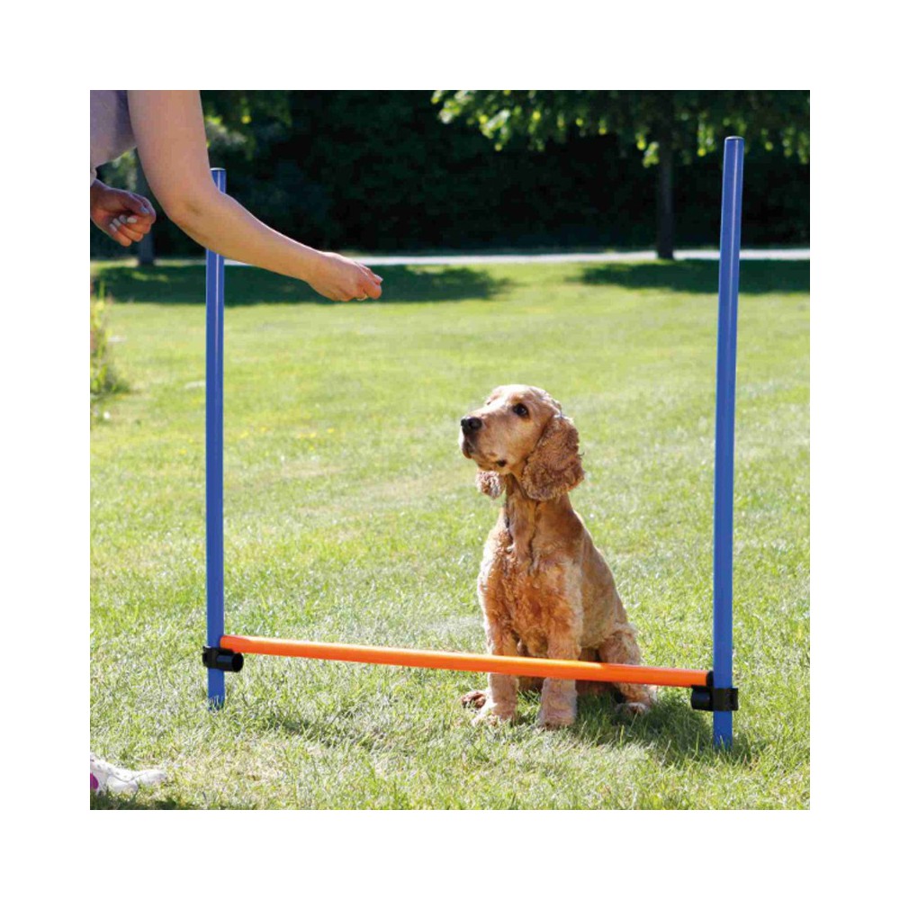 Salto singolo per agility dog Trixie per cani