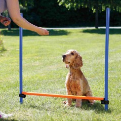 Salto singolo per agility dog Trixie per cani