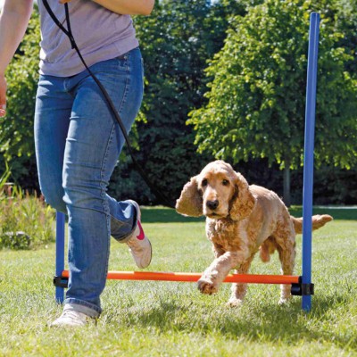 Salto singolo per agility dog Trixie per cani