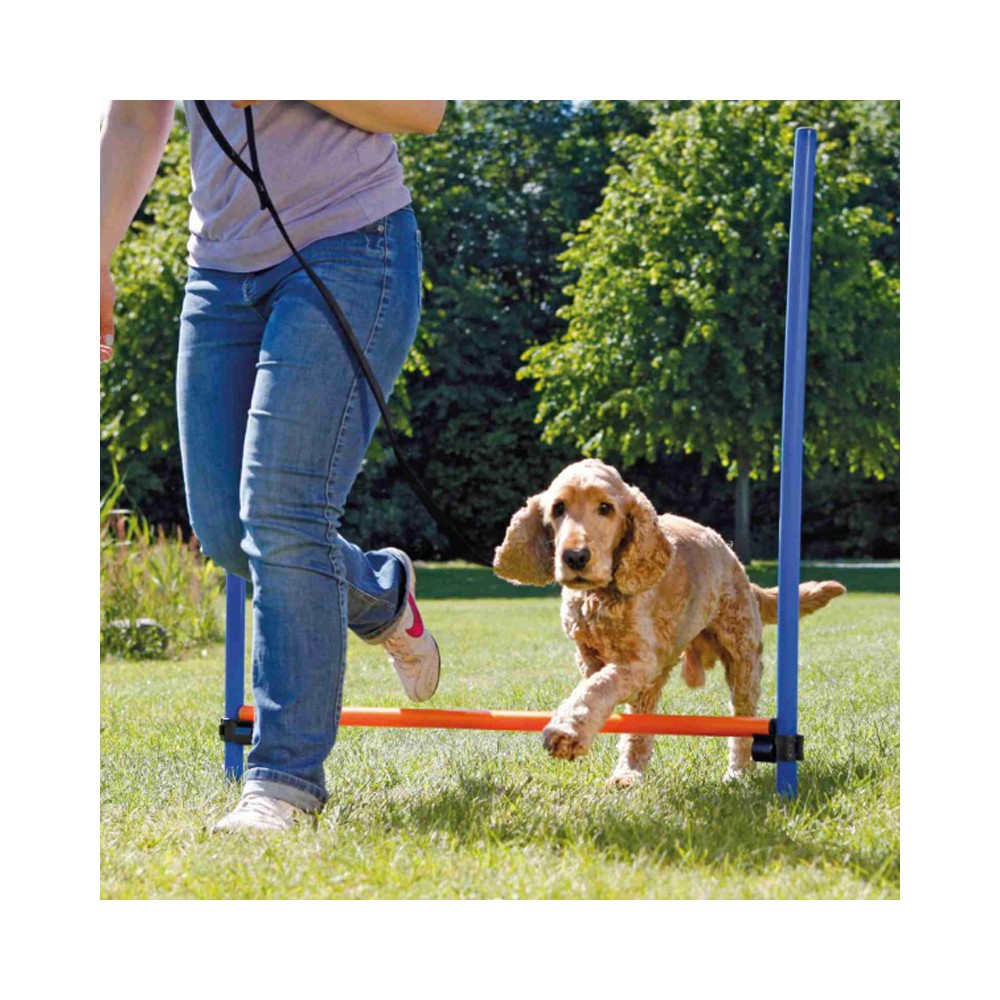 Scarpe per agility dog sale