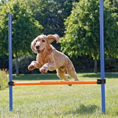 Salto singolo per agility dog Trixie per cani
