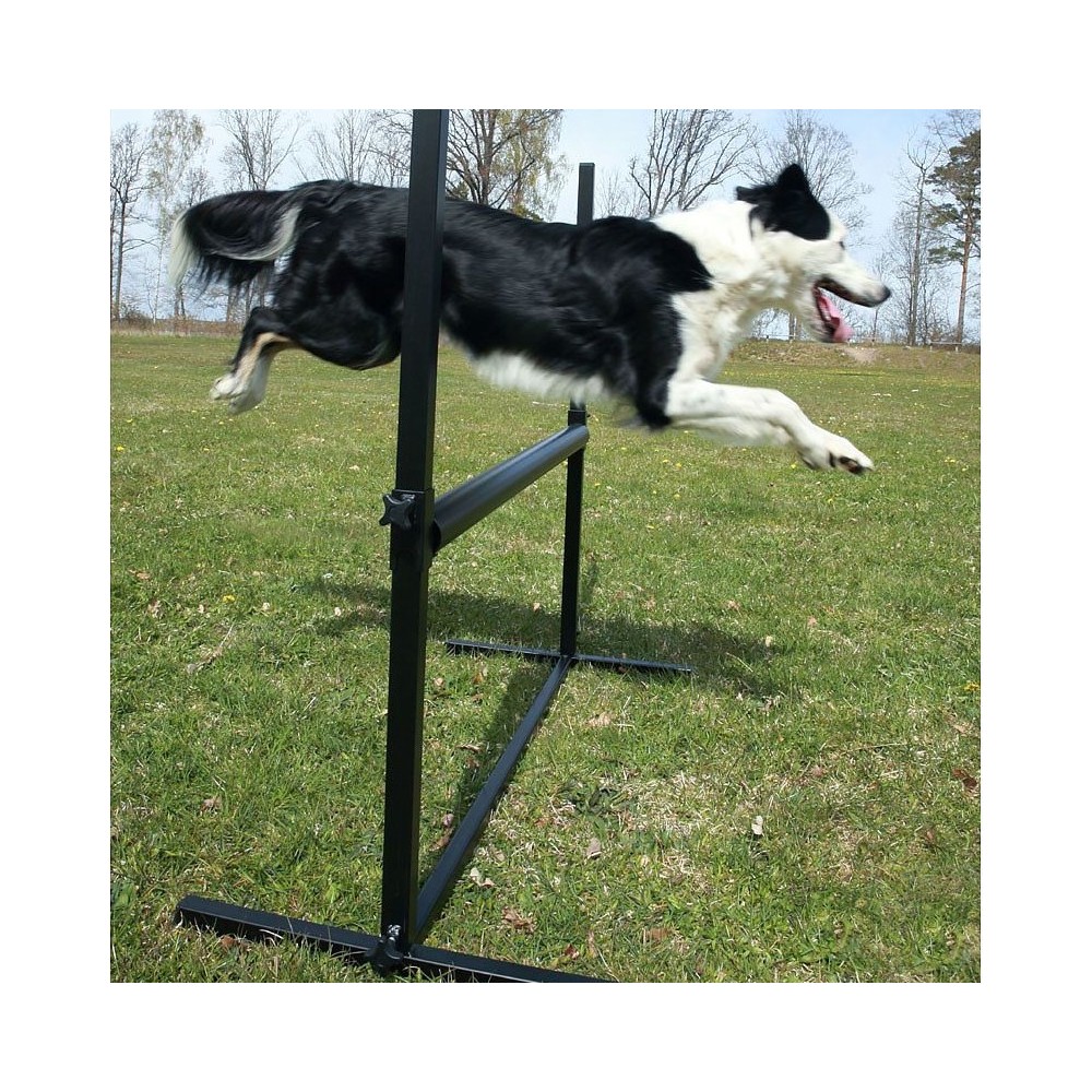 Salto aperto per Obedience per cani