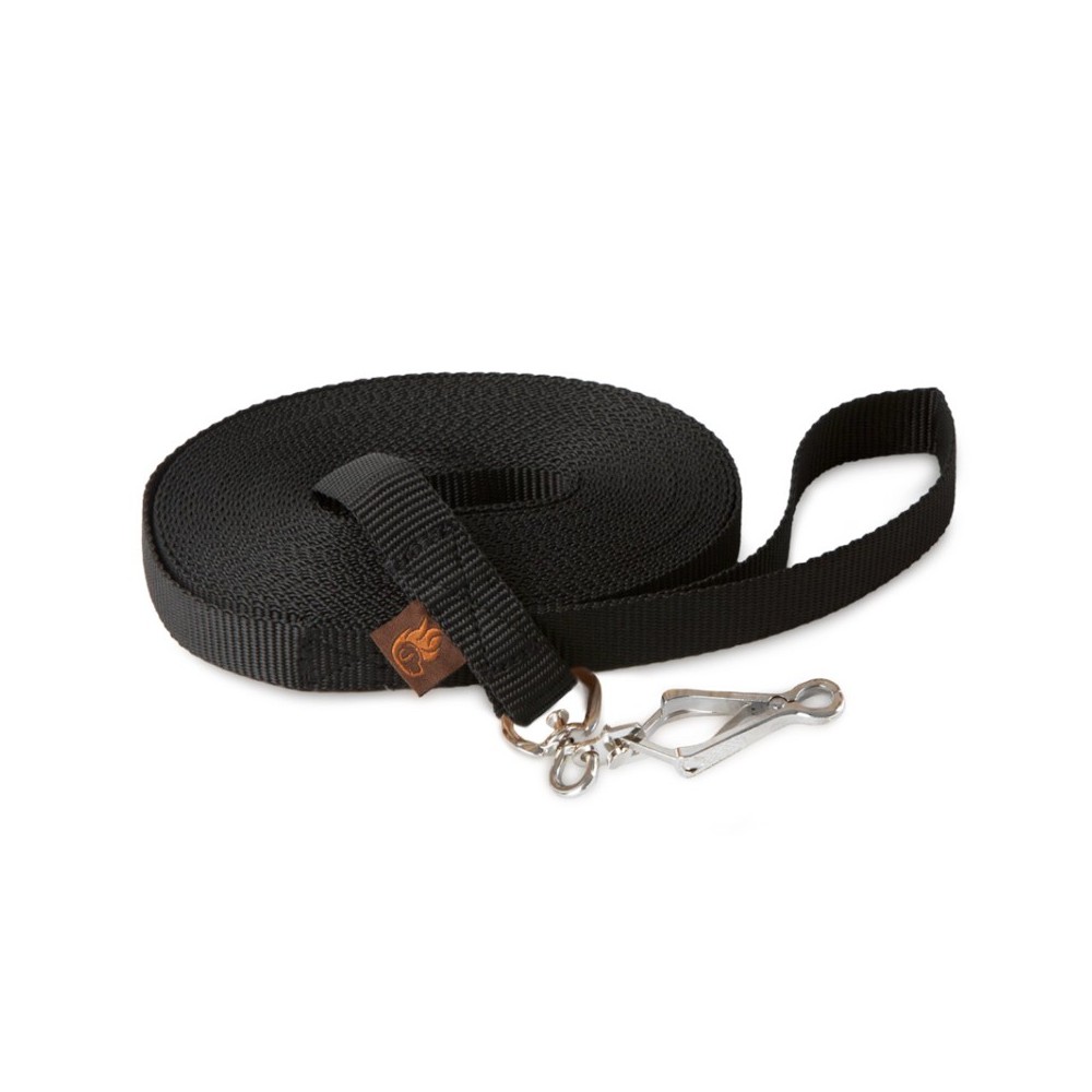 Longhina Firedog fettuccia 20 mm per cani