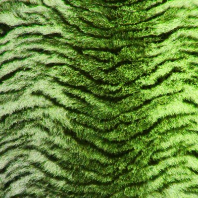 Vet Bed tappeto antiscivolo Tigrato Verde