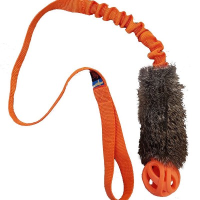 ALL FOR PAWS Hyperfetch Ottimo gioco di lancio per cani, lanciatore di  palle da tennis interattivo, per addestramento di cani, 3 palline incluse  (stile mini), con adattatore europeo - Ecopool Service