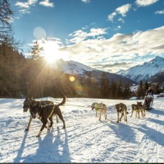 Axaeco Imbracatura Scandinavia per uso sportivo