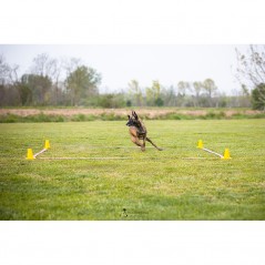 Cono training Obedience 15 cm