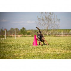 Cono training Obedience e Rally O. 40 cm