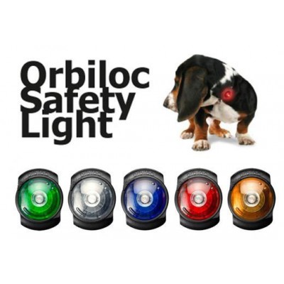 Luce led Orbiloc Dog Dual. Impermeabile addestramento cani